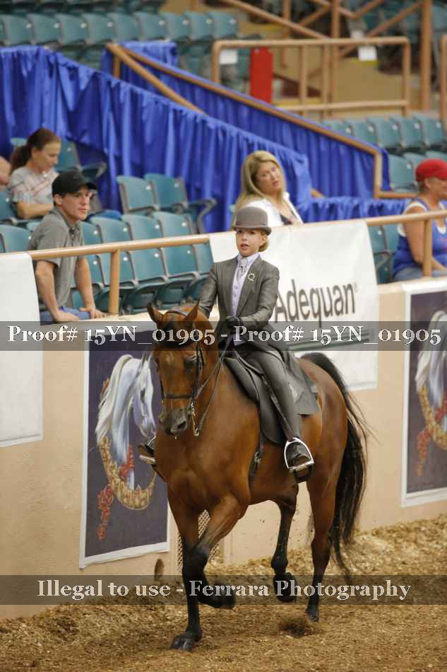 Proof 15YN_01905