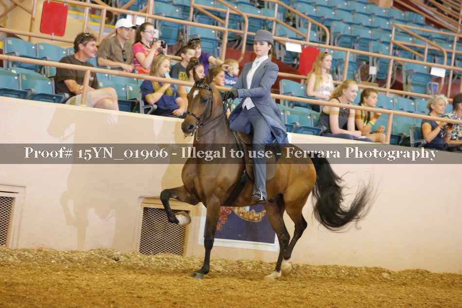 Proof 15YN_01906