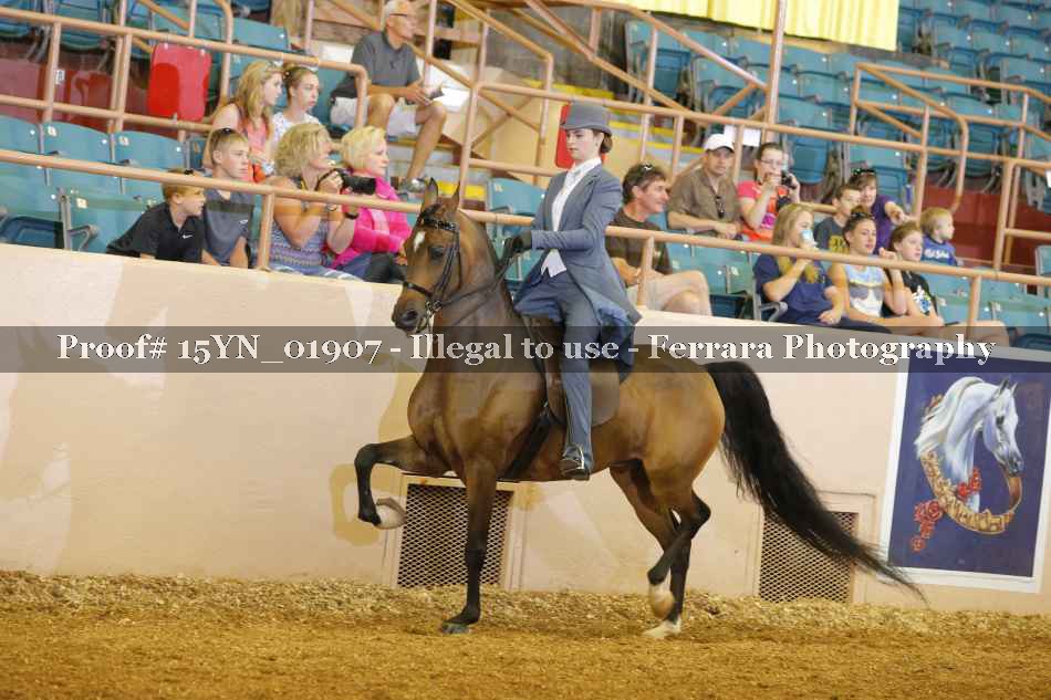 Proof 15YN_01907