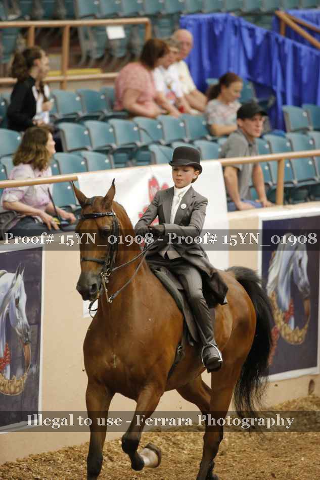Proof 15YN_01908