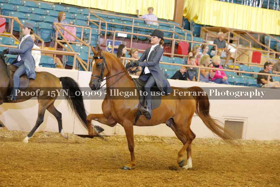 Proof 15YN_01909