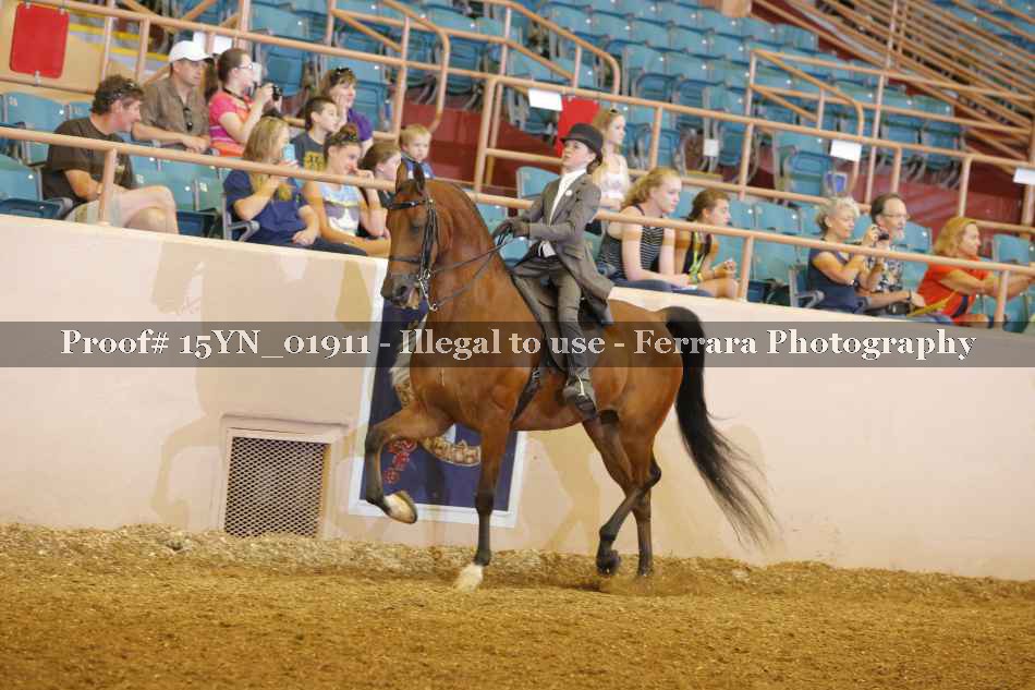Proof 15YN_01911