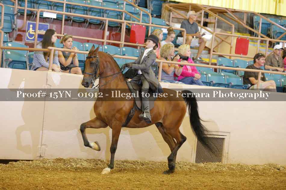 Proof 15YN_01912