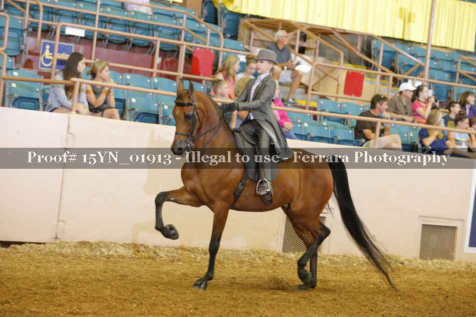 Proof 15YN_01913
