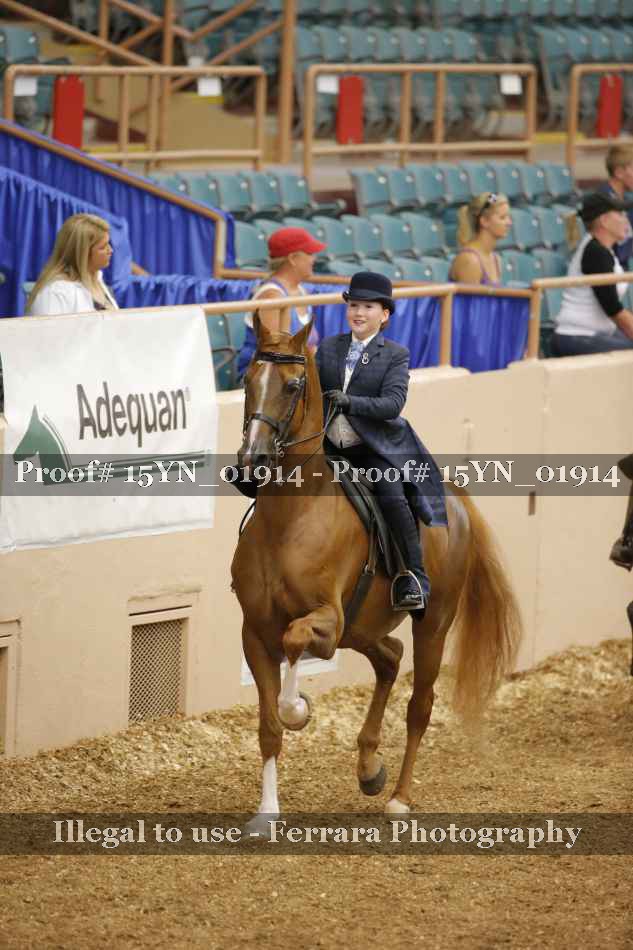 Proof 15YN_01914