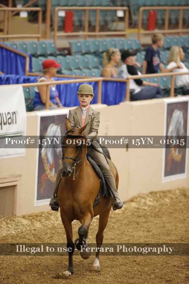 Proof 15YN_01915