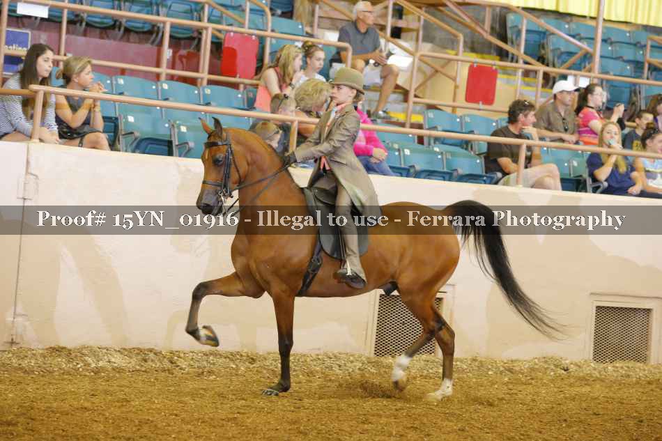 Proof 15YN_01916