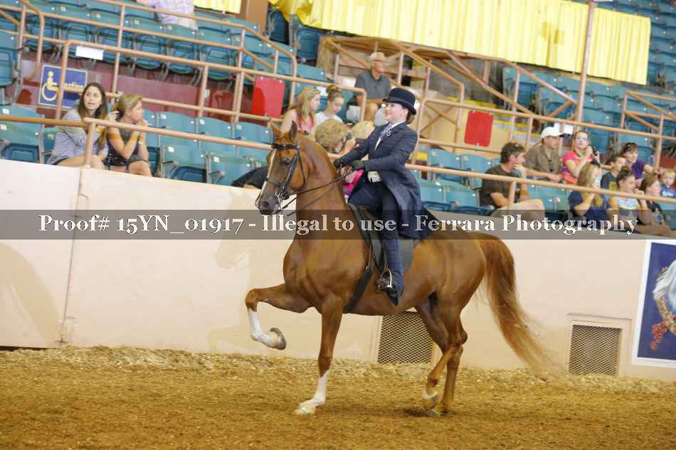Proof 15YN_01917