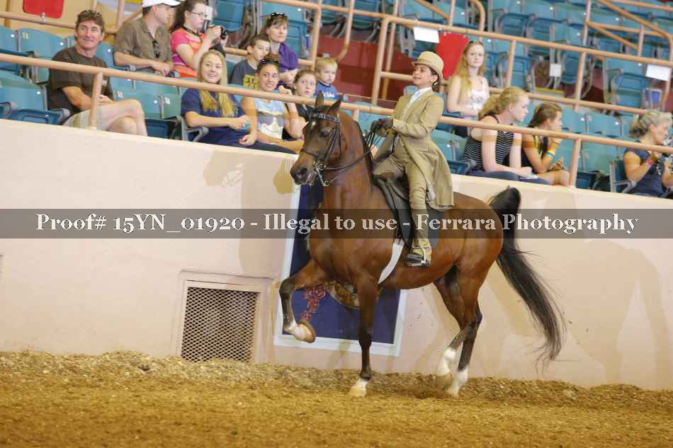 Proof 15YN_01920
