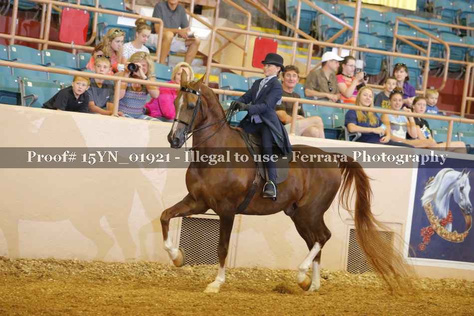 Proof 15YN_01921