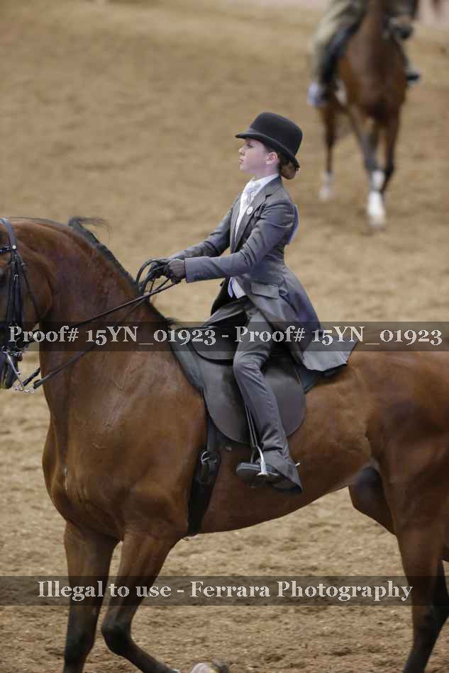 Proof 15YN_01923