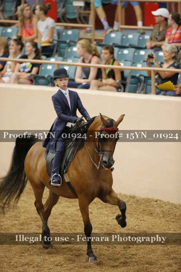 Proof 15YN_01924