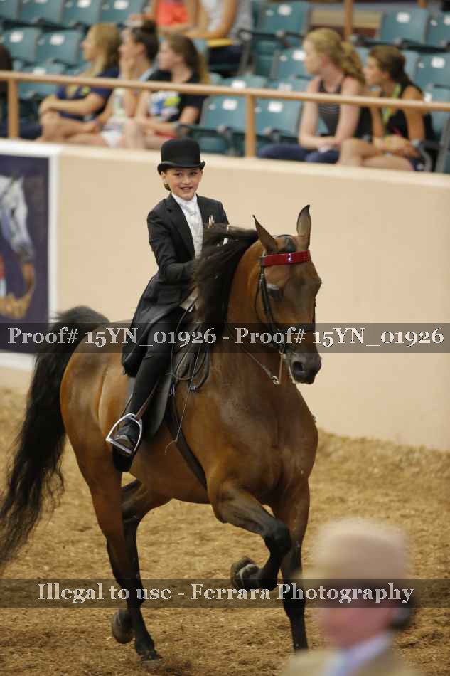 Proof 15YN_01926