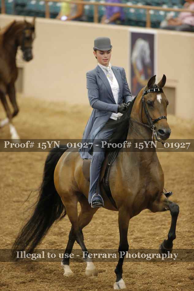 Proof 15YN_01927