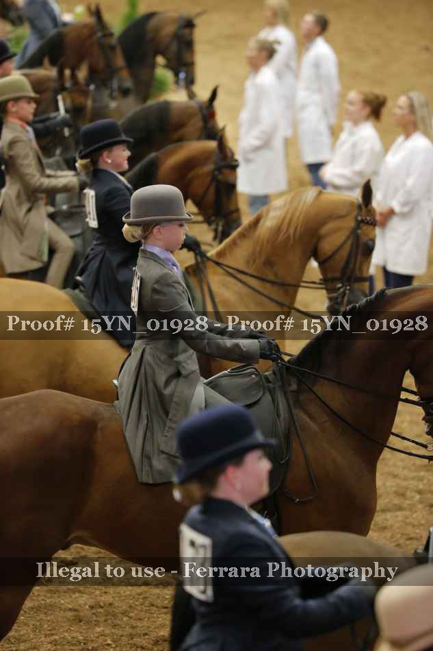 Proof 15YN_01928