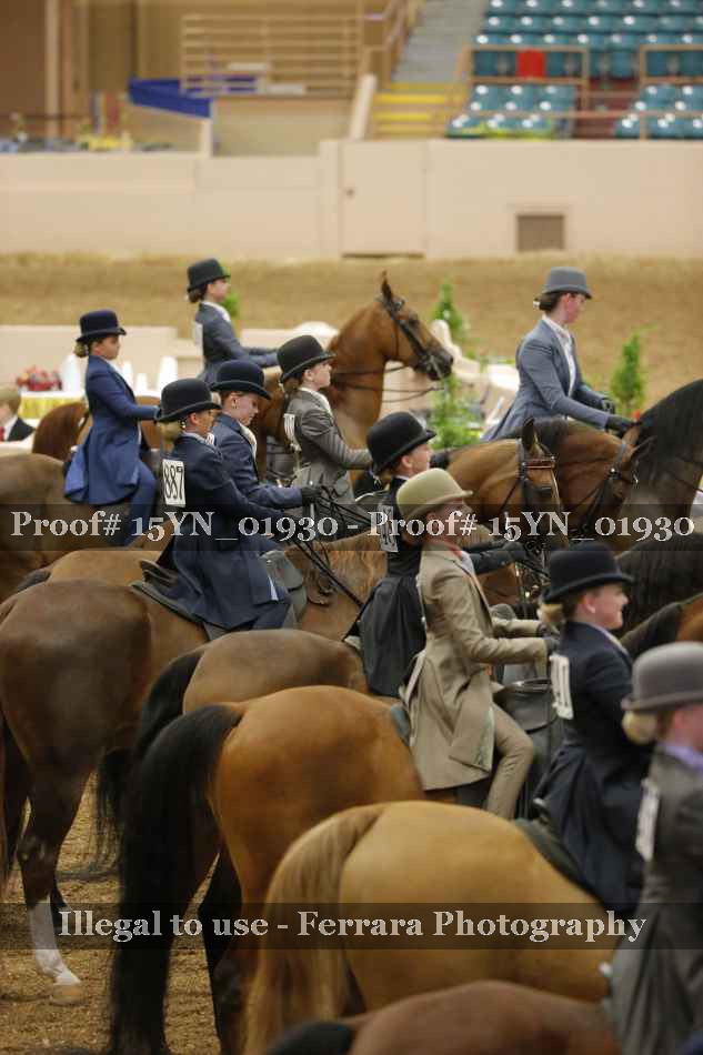 Proof 15YN_01930