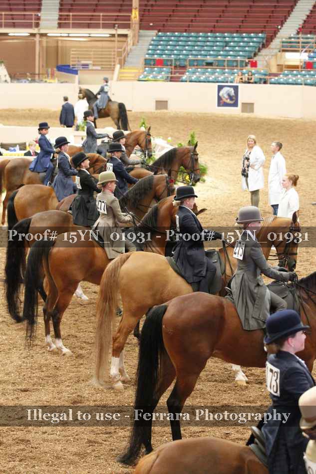Proof 15YN_01931
