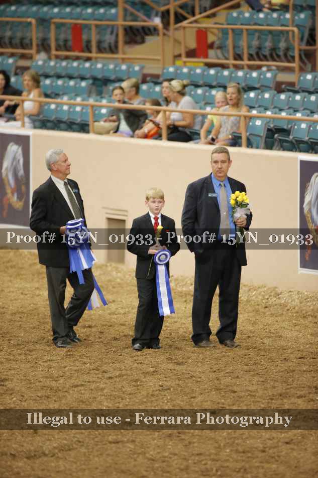 Proof 15YN_01933