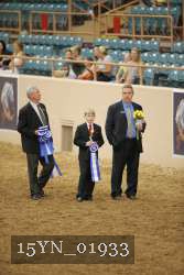 15YN_01933 proof