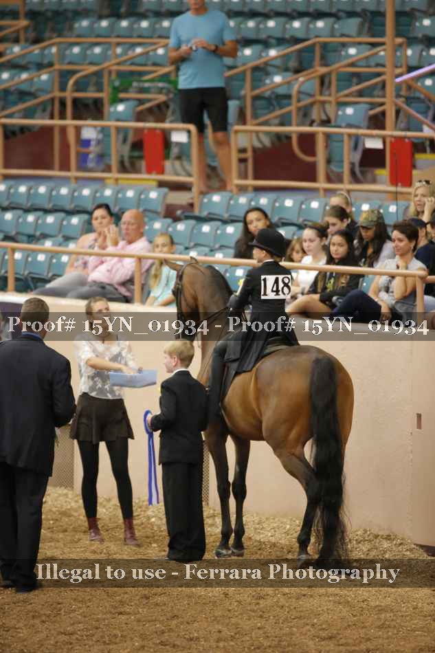 Proof 15YN_01934