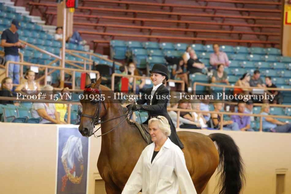 Proof 15YN_01935
