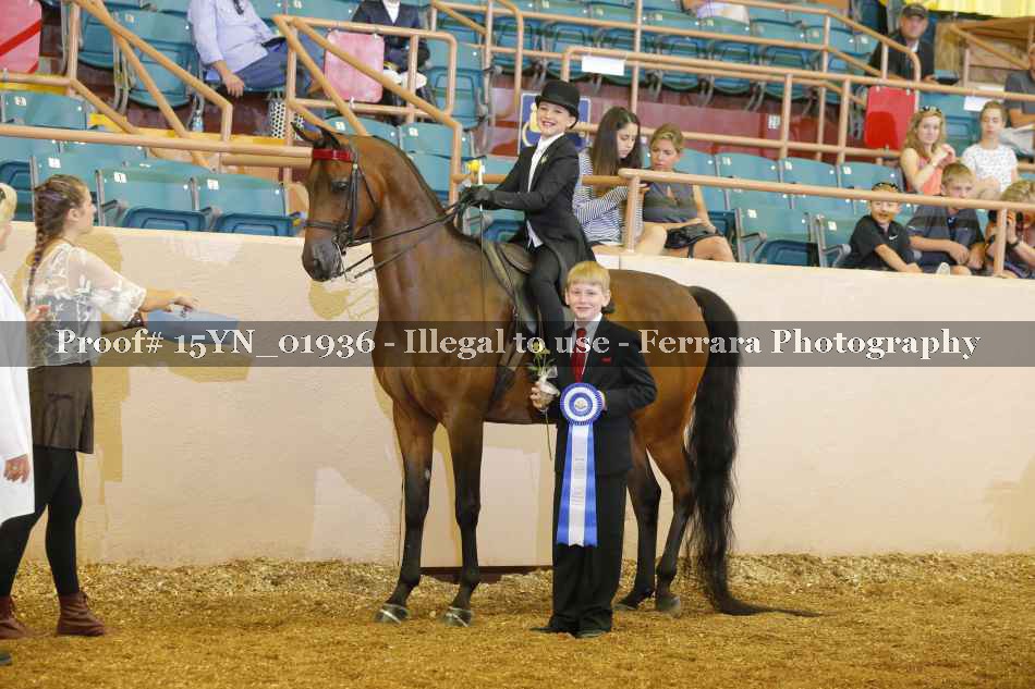 Proof 15YN_01936