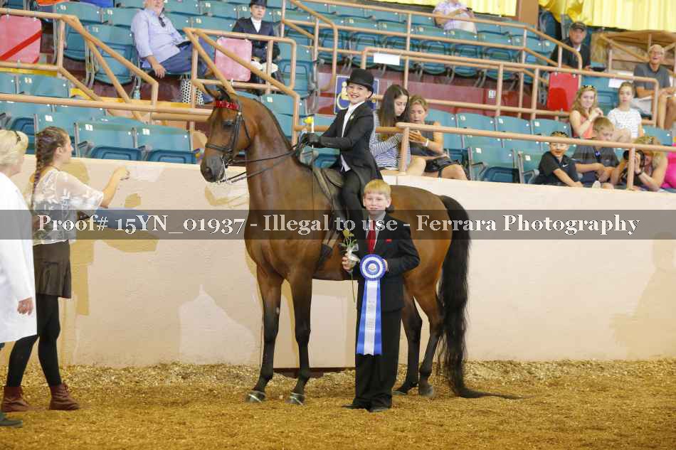 Proof 15YN_01937