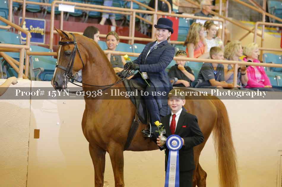 Proof 15YN_01938