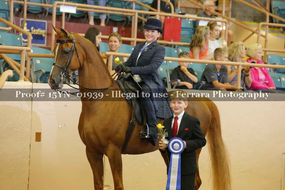 Proof 15YN_01939