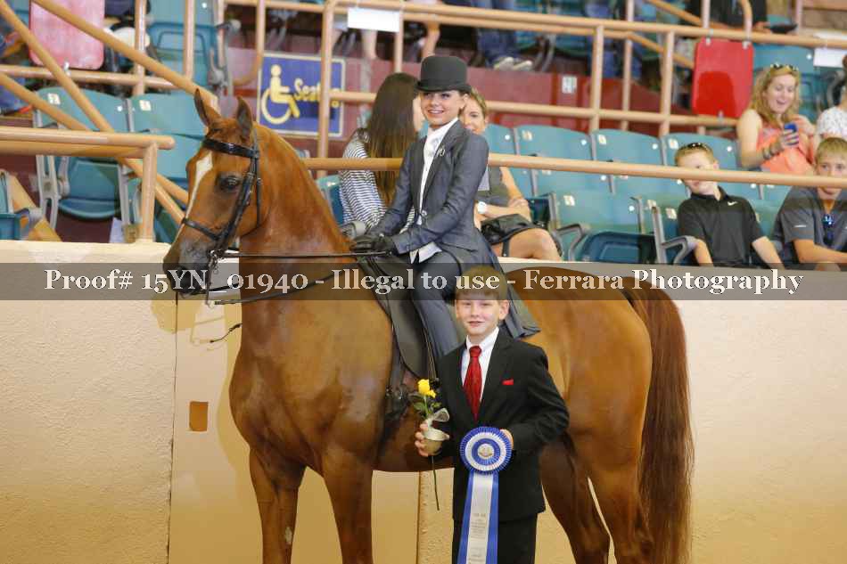Proof 15YN_01940
