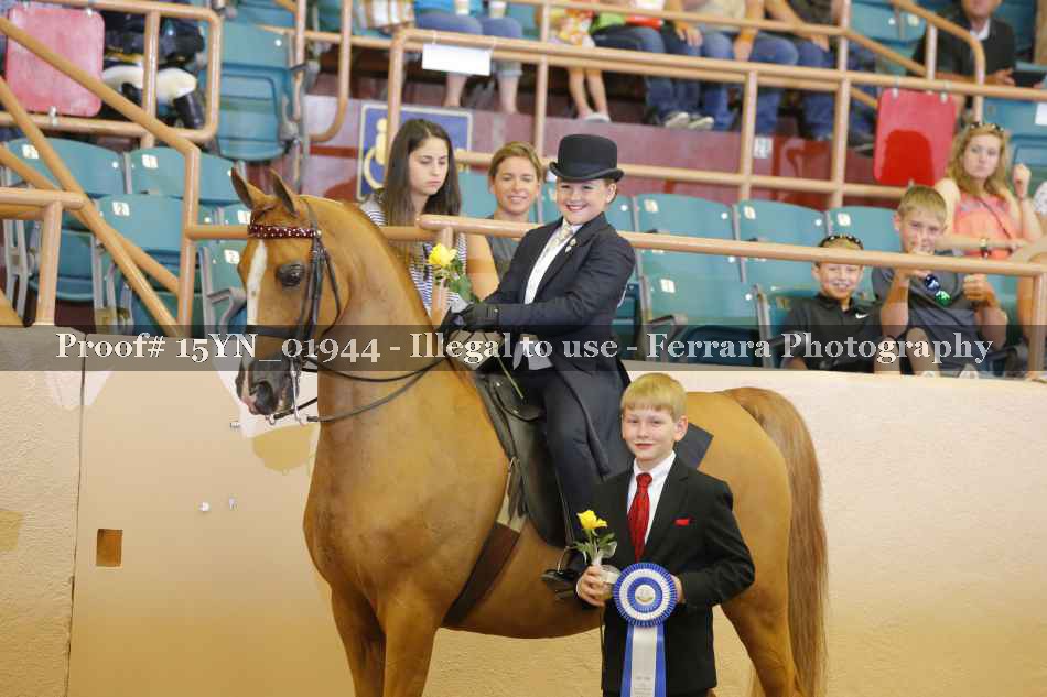 Proof 15YN_01944