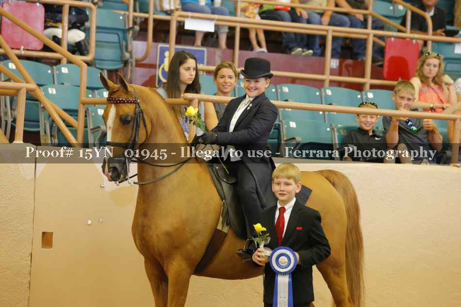 Proof 15YN_01945