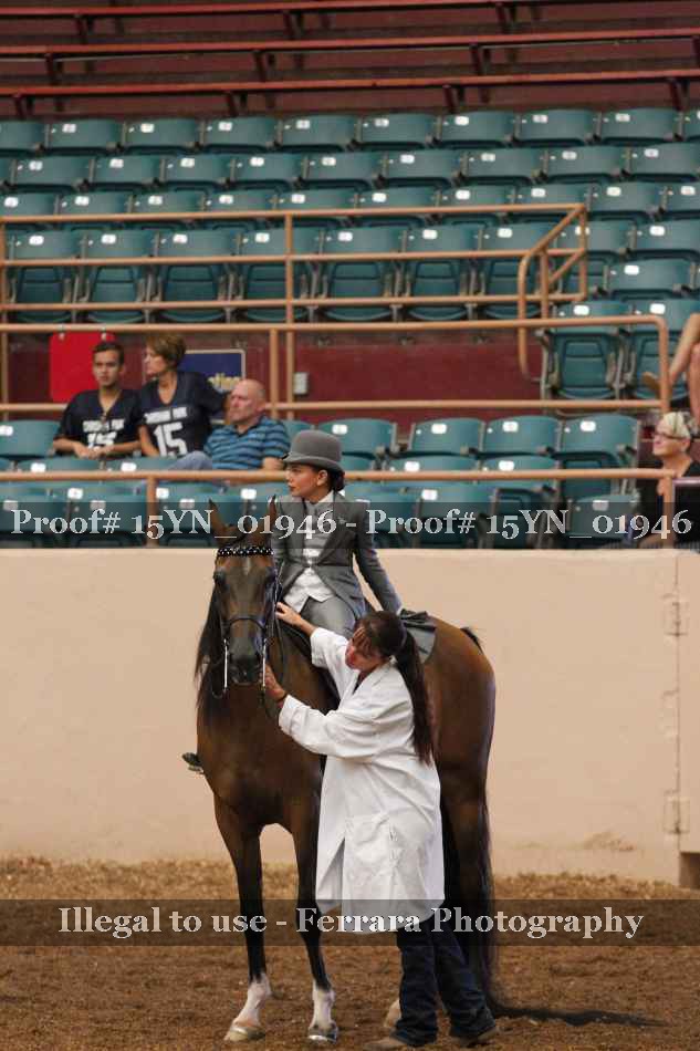 Proof 15YN_01946