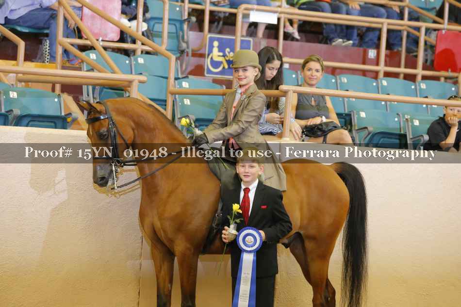 Proof 15YN_01948