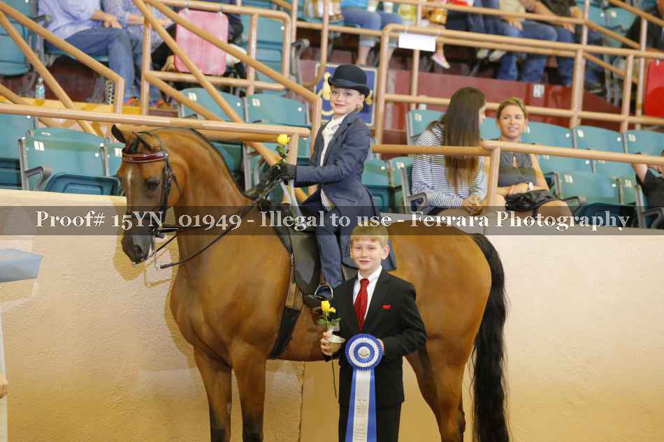 Proof 15YN_01949