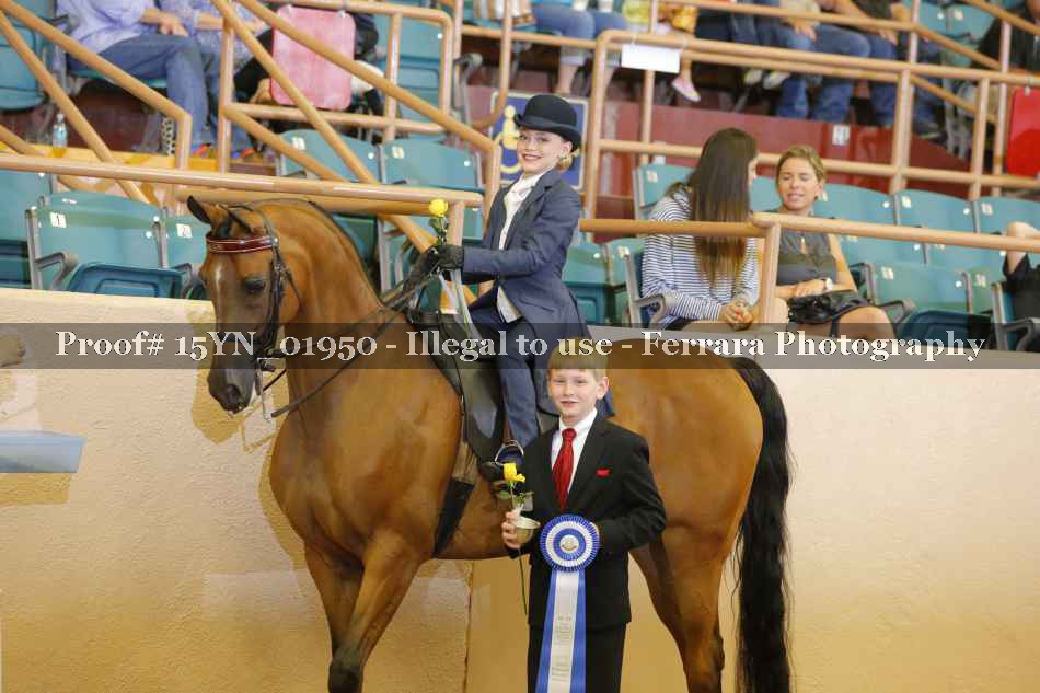Proof 15YN_01950