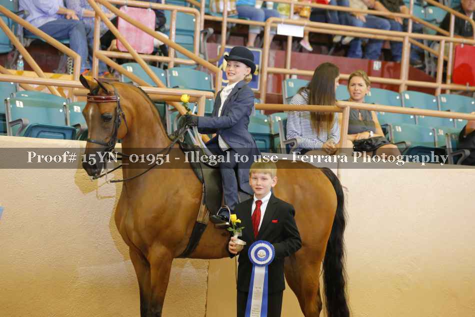 Proof 15YN_01951