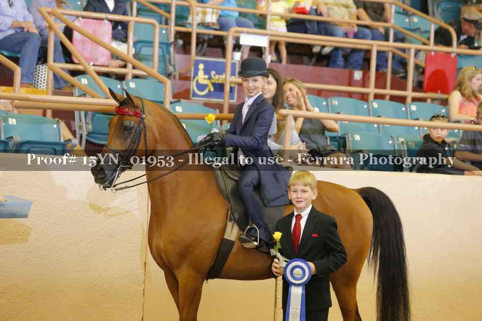 Proof 15YN_01953