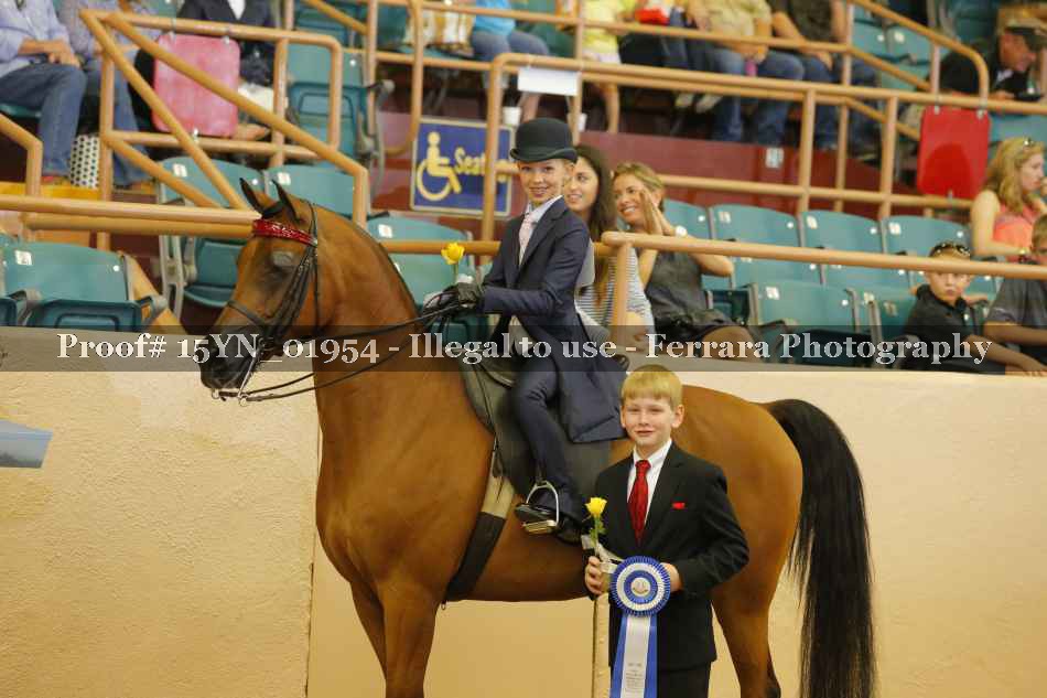 Proof 15YN_01954