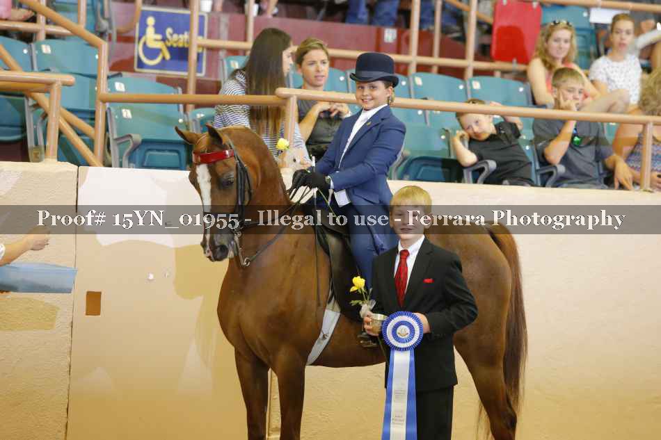 Proof 15YN_01955