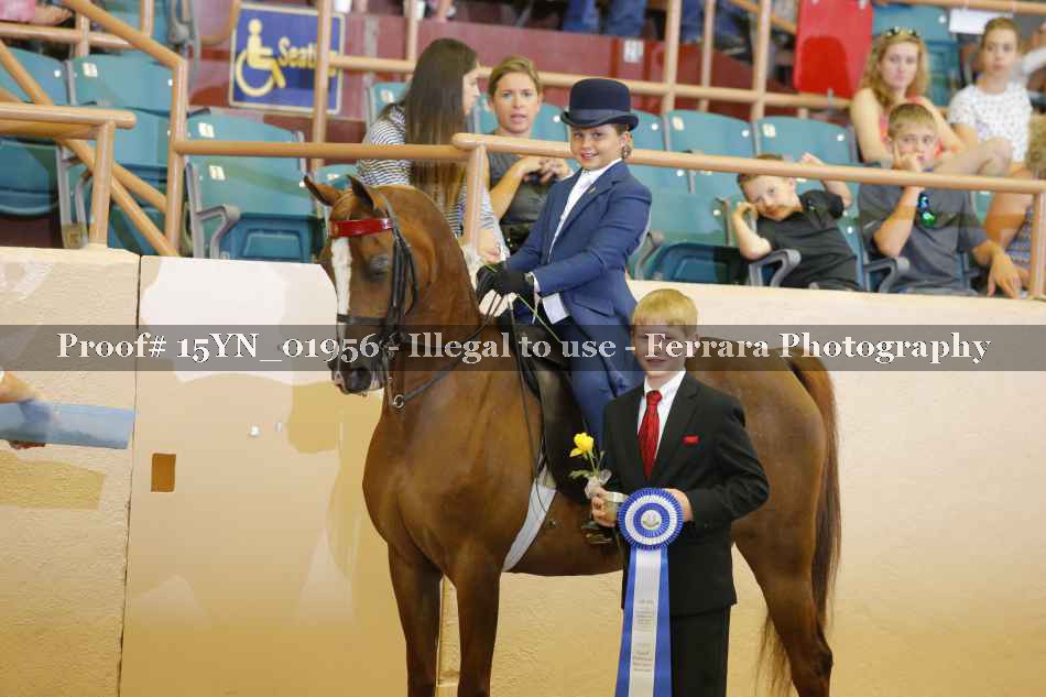 Proof 15YN_01956