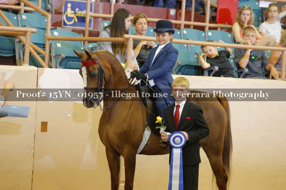 Proof 15YN_01957