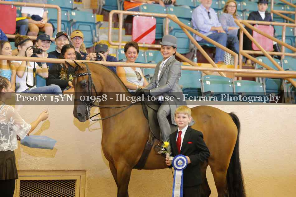 Proof 15YN_01958