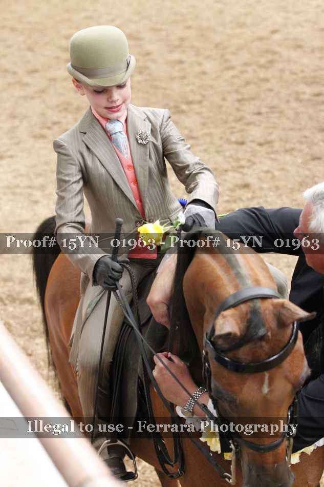 Proof 15YN_01963