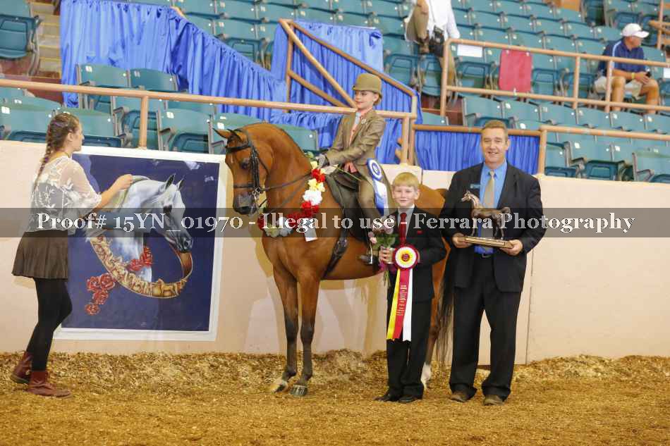 Proof 15YN_01970