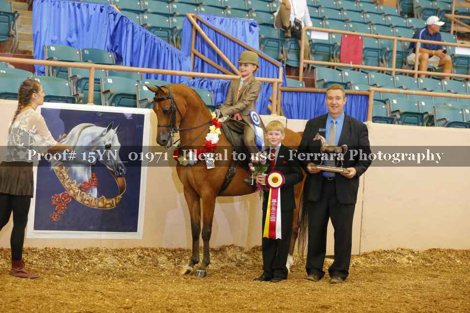 Proof 15YN_01971