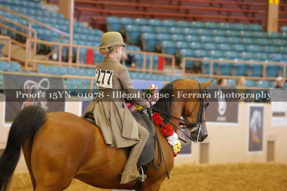 Proof 15YN_01978