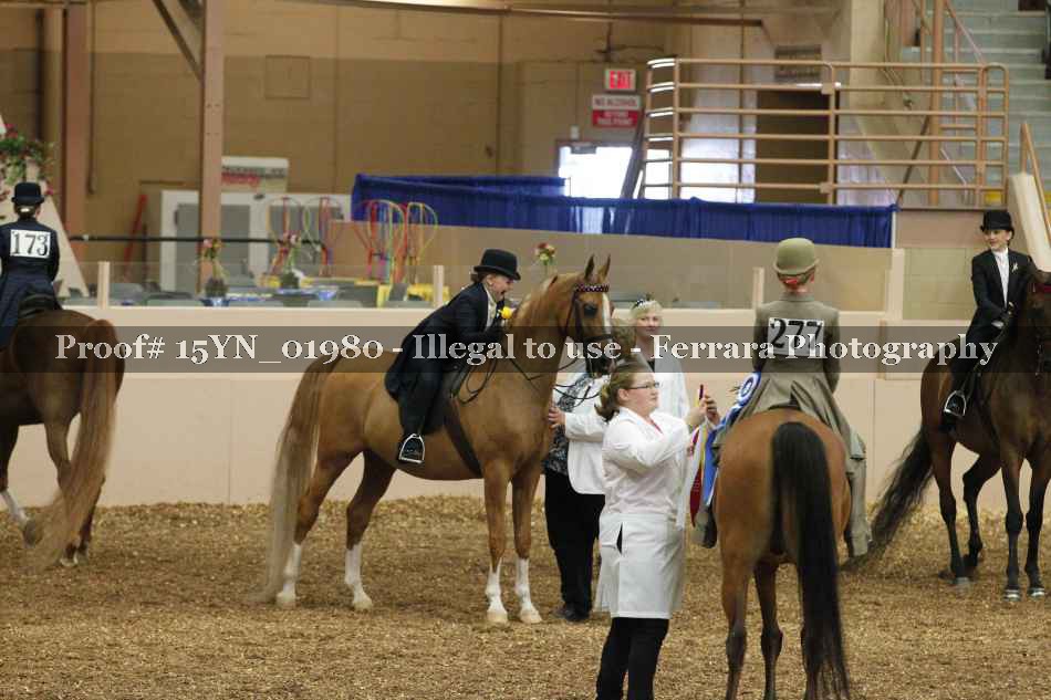 Proof 15YN_01980