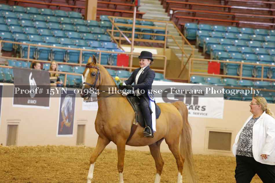 Proof 15YN_01984