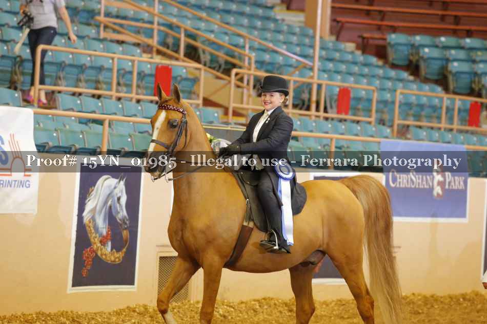 Proof 15YN_01985